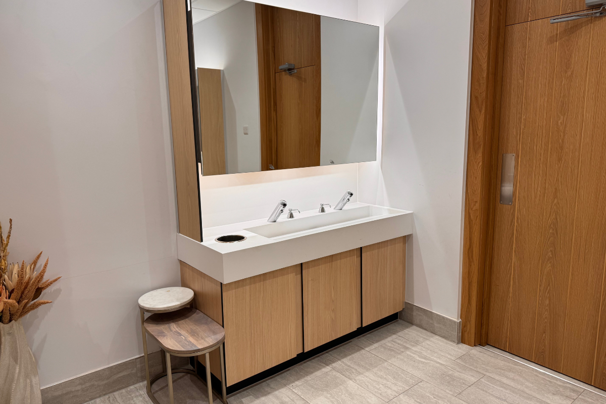 Luxury ladies toilet design